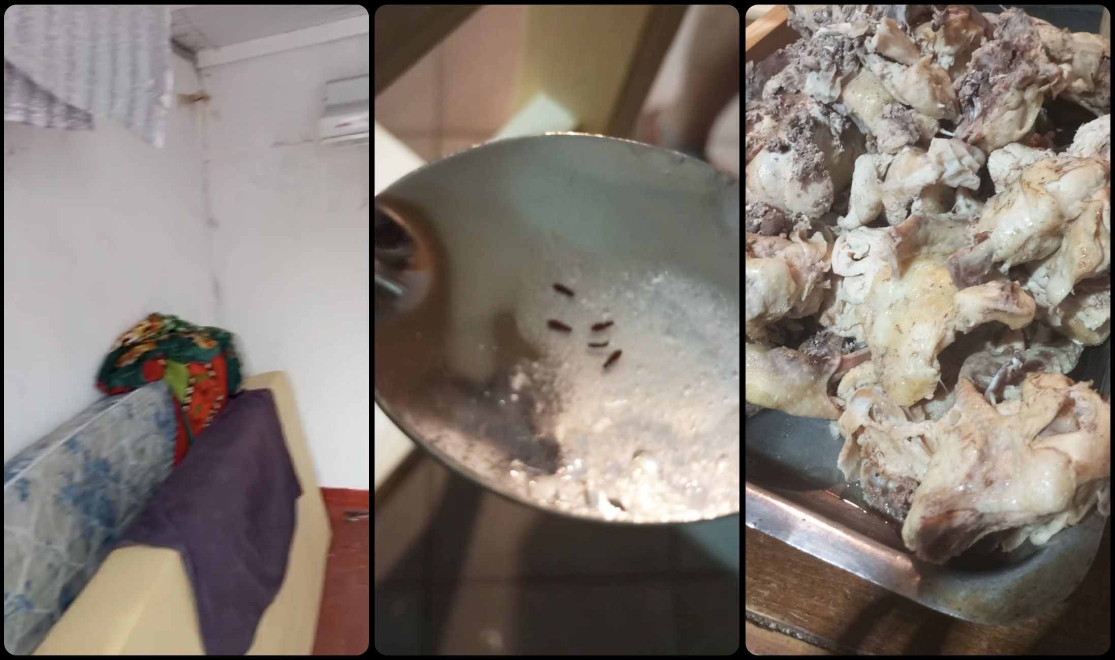 北单足球体育官网登录注册平台入口｜体育培训阿根廷足球天才工厂：青训帝国背后的残酷真相